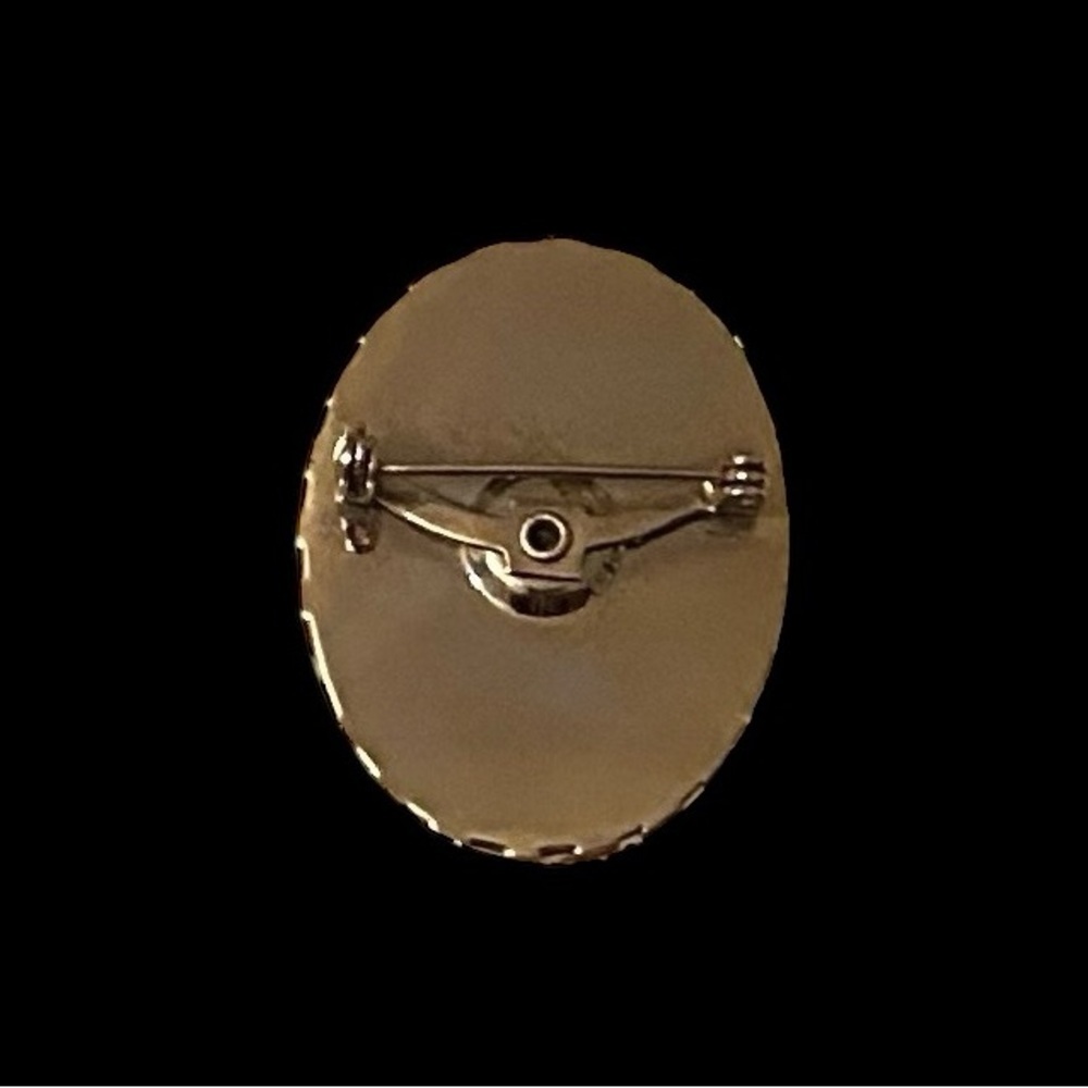 Vintage Gold Tone Resin Cameo Brooch. Victorian Inspired. - Picture 4 of 7